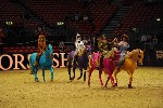 Quadrille - 00490